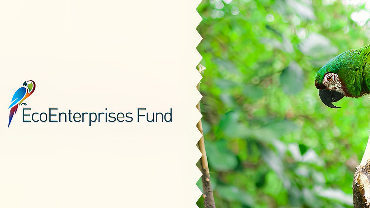 América Orgánica crece de la mano de EcoEnterprises Fund