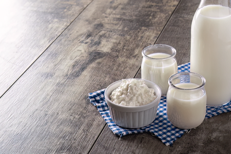 ¿Por qué está bien incluir prebióticos y probióticos a nuestra dieta diaria?